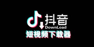 抖音主页视频下载器-安澜博客